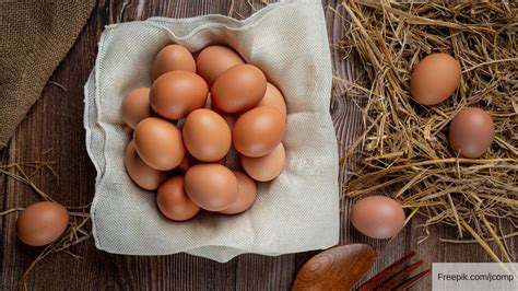 Tips Mengolah Telur agar Terhindar dari Bakteri Salmonella